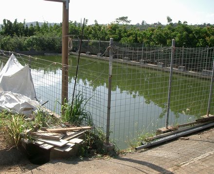 山城先生の天水プール.jpg