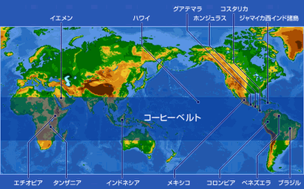 コーヒーベルト.gif