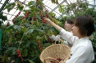 西日本新聞ミのWebより.jpg