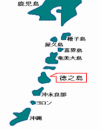 徳之島1.gif
