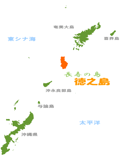 徳之島2.gif