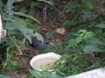 oNCỉat201405-2.JPG